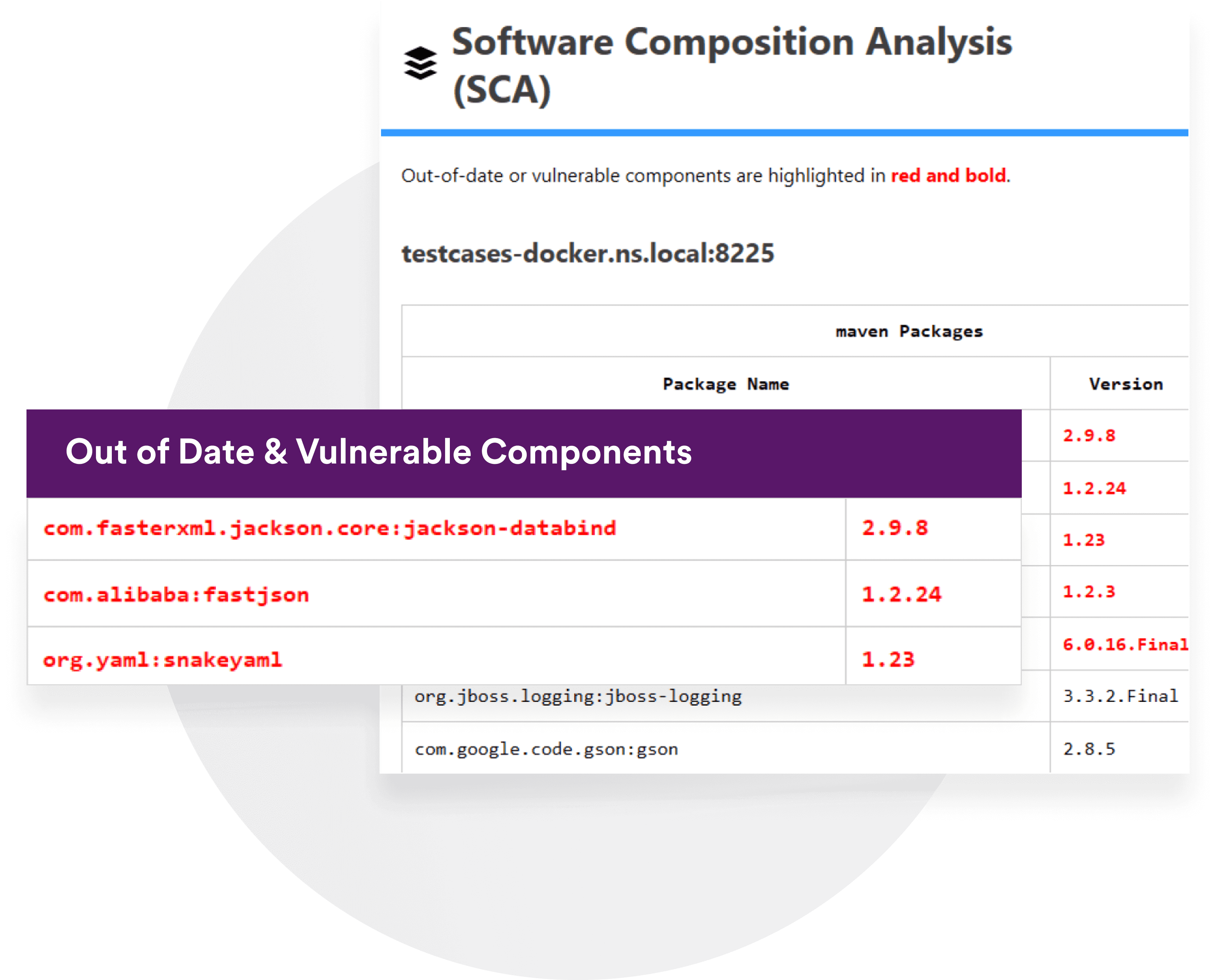 Software Composition Analysis